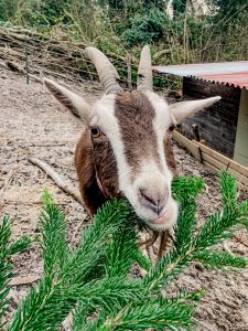 41887 d653d8a6e6fe592a17372a5abb10a24a 22.3.2025, 21 42 04